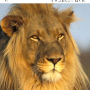 Meet your Posher, Fernando